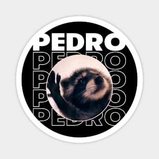 Pedro Raccoon Meme Magnet